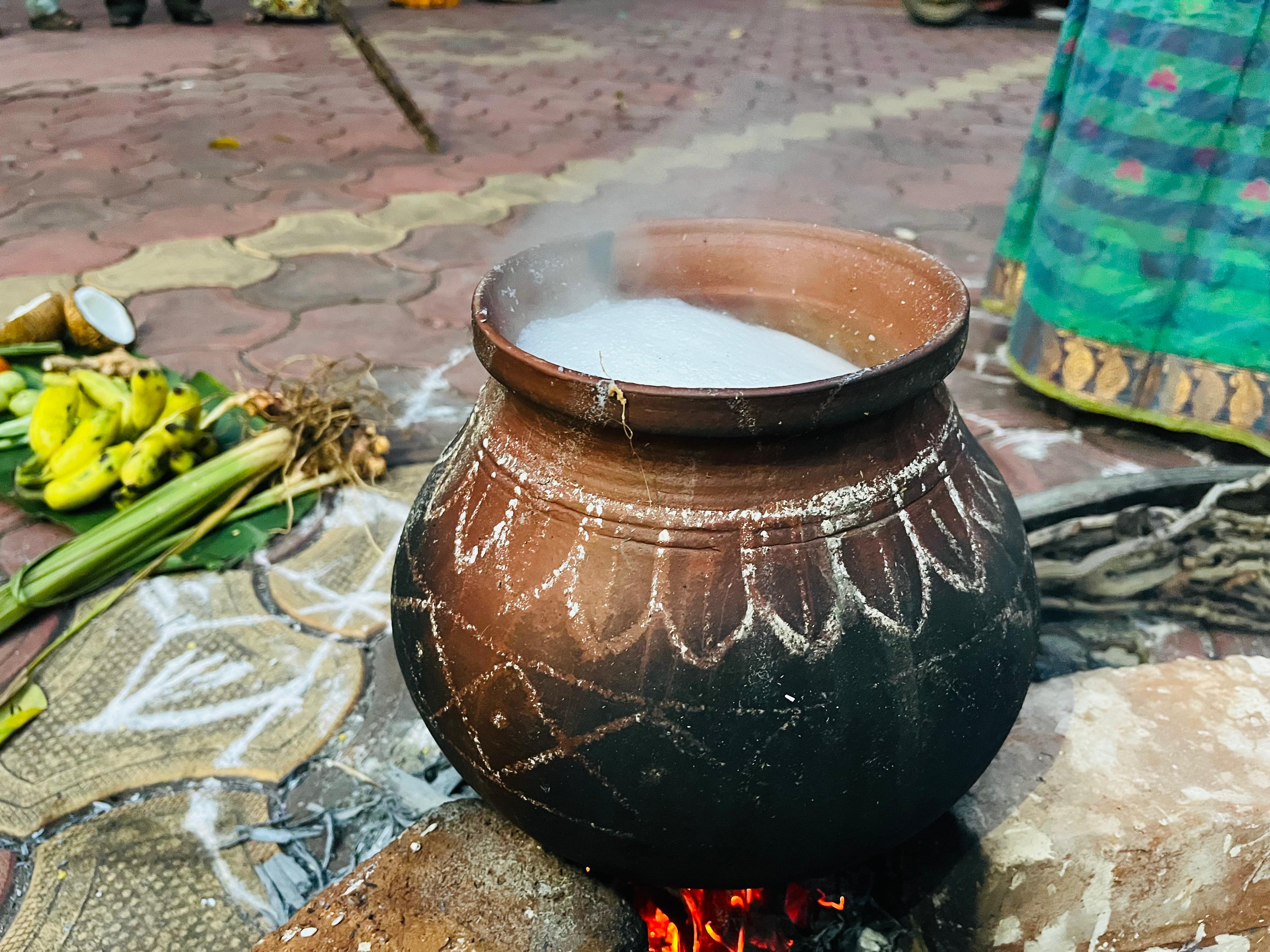 Pongal Celebrations